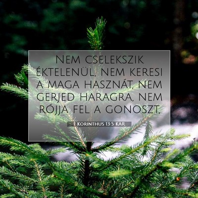 1 Korinthus 13:5 KAR Bibliai verskép