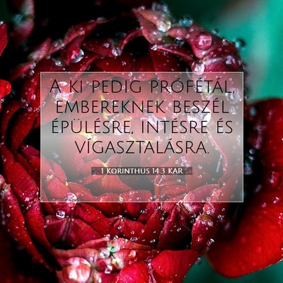 1 Korinthus 14:3 KAR Bibliai verskép