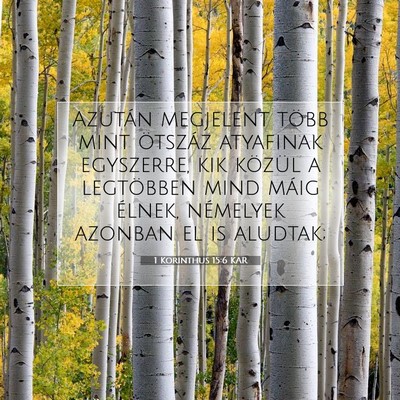 1 Korinthus 15:6 KAR Bibliai verskép