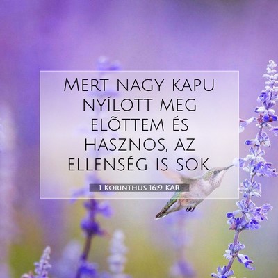1 Korinthus 16:9 KAR Bibliai verskép