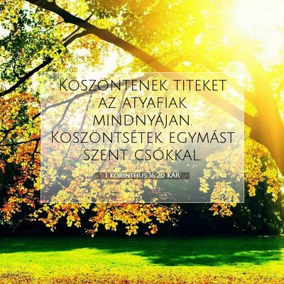 1 Korinthus 16:20 KAR Bibliai verskép
