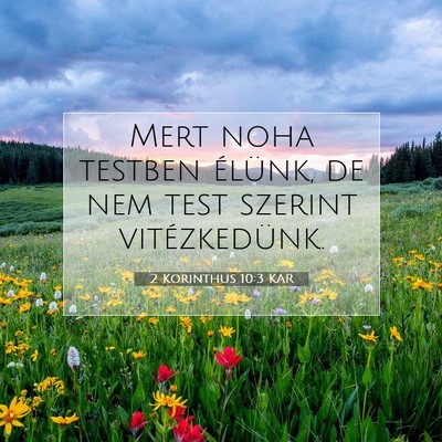 2 Korinthus 10:3 KAR Bibliai verskép