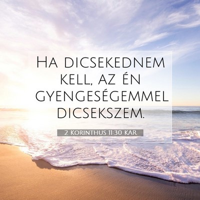 2 Korinthus 11:30 KAR Bibliai verskép