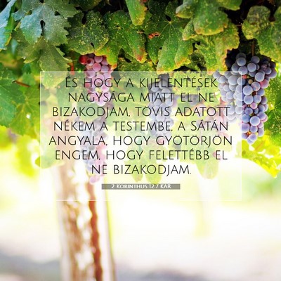 2 Korinthus 12:7 KAR Bibliai verskép