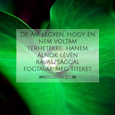 2 Korinthus 12:16 KAR Bibliai verskép