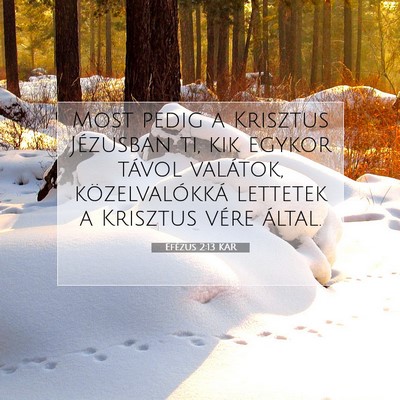 Efézus 2:13 KAR Bibliai verskép