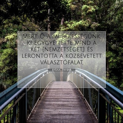 Efézus 2:14 KAR Bibliai verskép