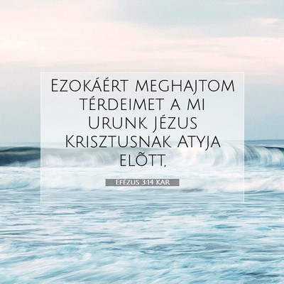Efézus 3:14 KAR Bibliai verskép