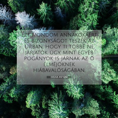Efézus 4:17 KAR Bibliai verskép
