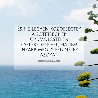 Efézus 5:11 KAR Bibliai verskép