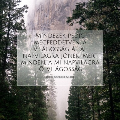 Efézus 5:13 KAR Bibliai verskép
