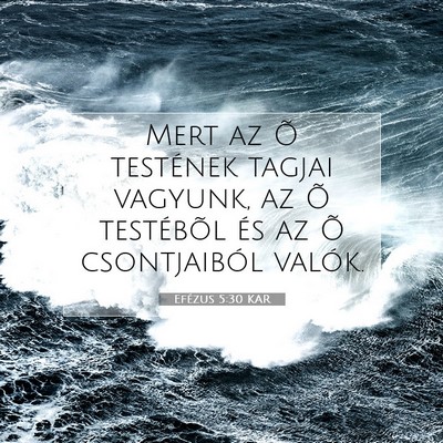 Efézus 5:30 KAR Bibliai verskép