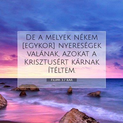 Filippi 3:7 KAR Bibliai verskép