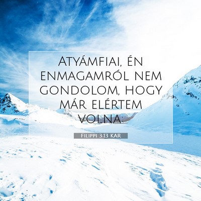 Filippi 3:13 KAR Bibliai verskép