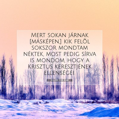 Filippi 3:18 KAR Bibliai verskép