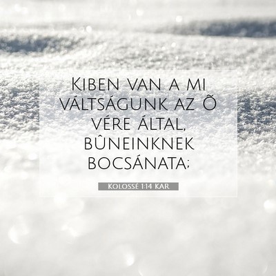 Kolossé 1:14 Bibliai vers magyarázata