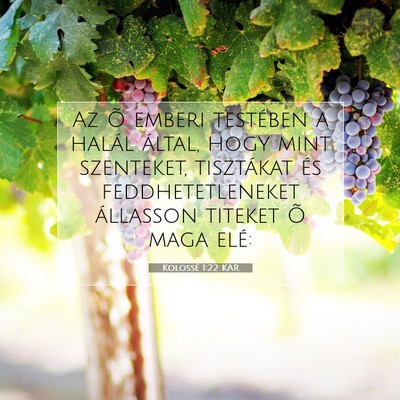 Kolossé 1:22 Bibliai vers magyarázata