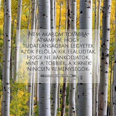 1 Thesszalonika 4:13 KAR Bibliai verskép