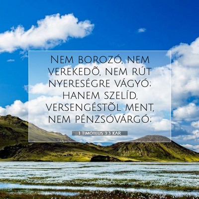 1 Timóteus 3:3 Bibliai vers magyarázata