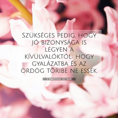1 Timóteus 3:7 Bibliai vers magyarázata