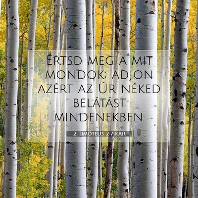 2 Timóteus 2:7 Bibliai vers magyarázata