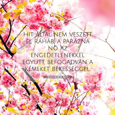 Zsidók 11:31 KAR Bibliai verskép