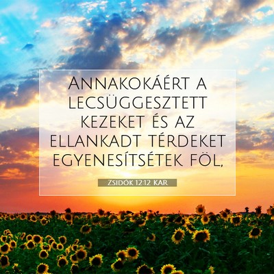 Zsidók 12:12 KAR Bibliai verskép