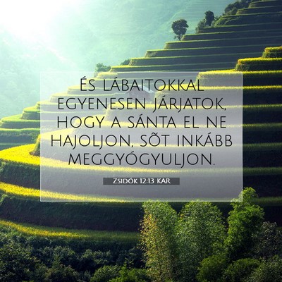 Zsidók 12:13 KAR Bibliai verskép