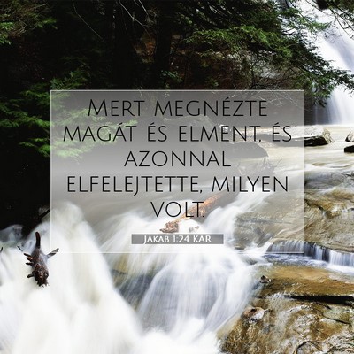 Jakab 1:24 Bibliai vers magyarázata