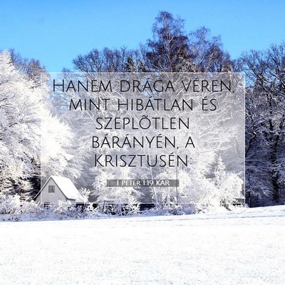 1 Péter 1:19 Bibliai vers magyarázata