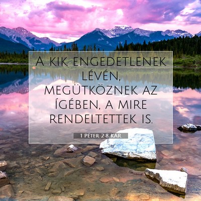 1 Péter 2:8 Bibliai vers magyarázata