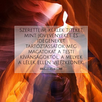 1 Péter 2:11 Bibliai vers magyarázata