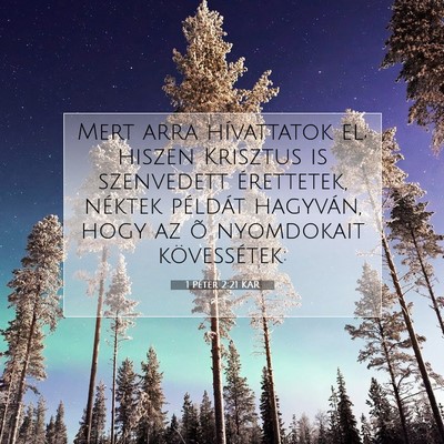 1 Péter 2:21 Bibliai vers magyarázata