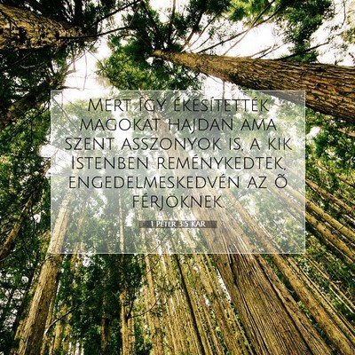 1 Péter 3:5 Bibliai vers magyarázata