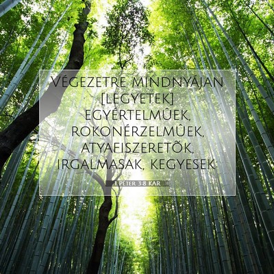 1 Péter 3:8 Bibliai vers magyarázata