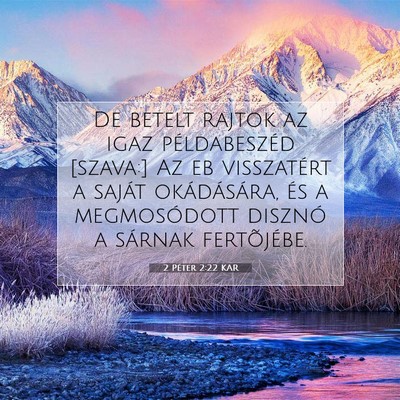 2 Péter 2:22 Bibliai vers magyarázata