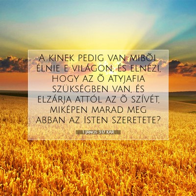 1 János 3:17 KAR Bibliai verskép