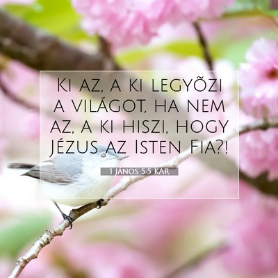 1 János 5:5 Bibliai vers magyarázata