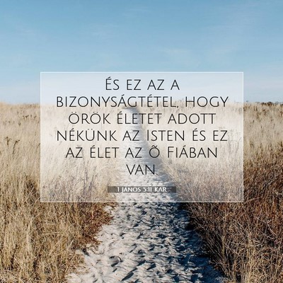 1 János 5:11 KAR Bibliai verskép