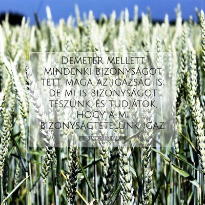 3 János 1:12 Bibliai vers magyarázata