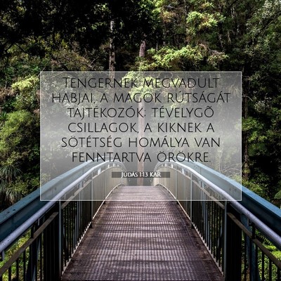 Júdás 1:13 Bibliai vers magyarázata
