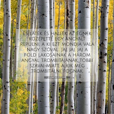 Jelenések 8:13 KAR Bibliai verskép